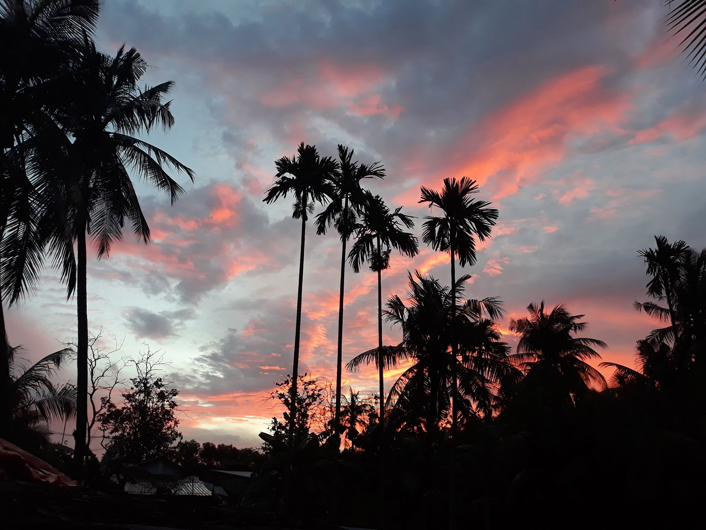Ảnh của bạn Cao Nguyên