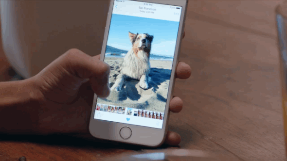 Ảnh Live trên iPhone.