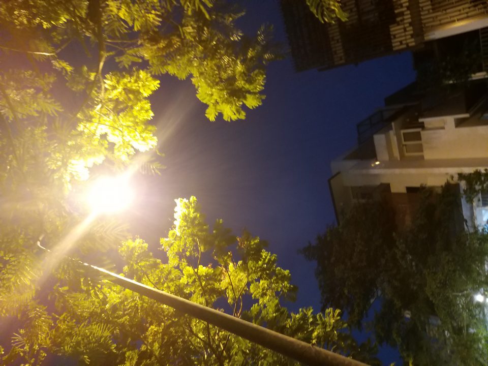 Trong điều kiện này hầu hết các smartphone đều làm không tốt. Tuy nhiên, có thể nói A9 đã làm tốt phần này. Samsung có sự can thiệp phần mềm mạnh mẽ ở điều kiện ánh sáng này, giúp cho ảnh vẫn giữ được nhiều chi tiết và màu sắc. Các bạn chỉ cần nhớ là căn chỉnh bố cục ảnh ngay từ khi chụp, chứ zoom hoặc crop ảnh là sự can thiệp phần mềm sẽ lộ ra ngay.