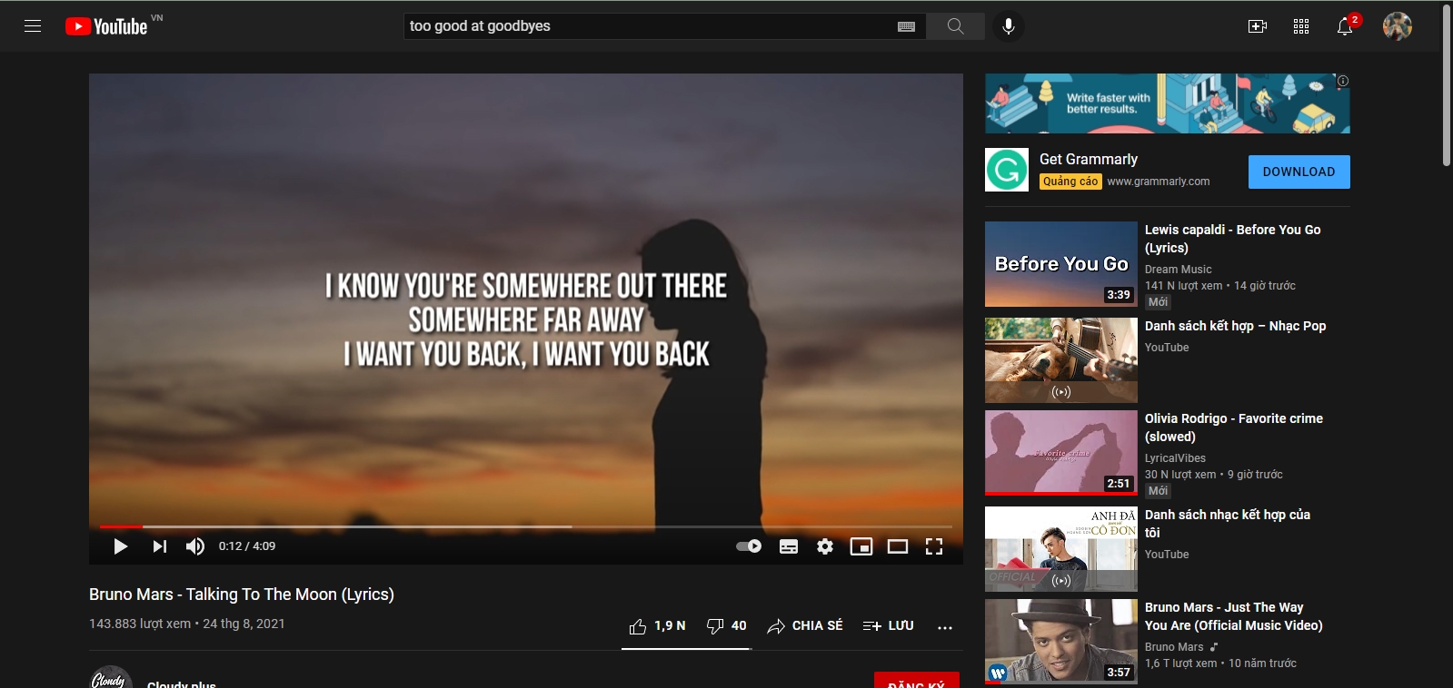 download subtitle youtube