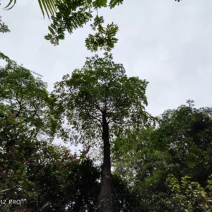 Danh gia Xiaomi 12 Pro 1235678910