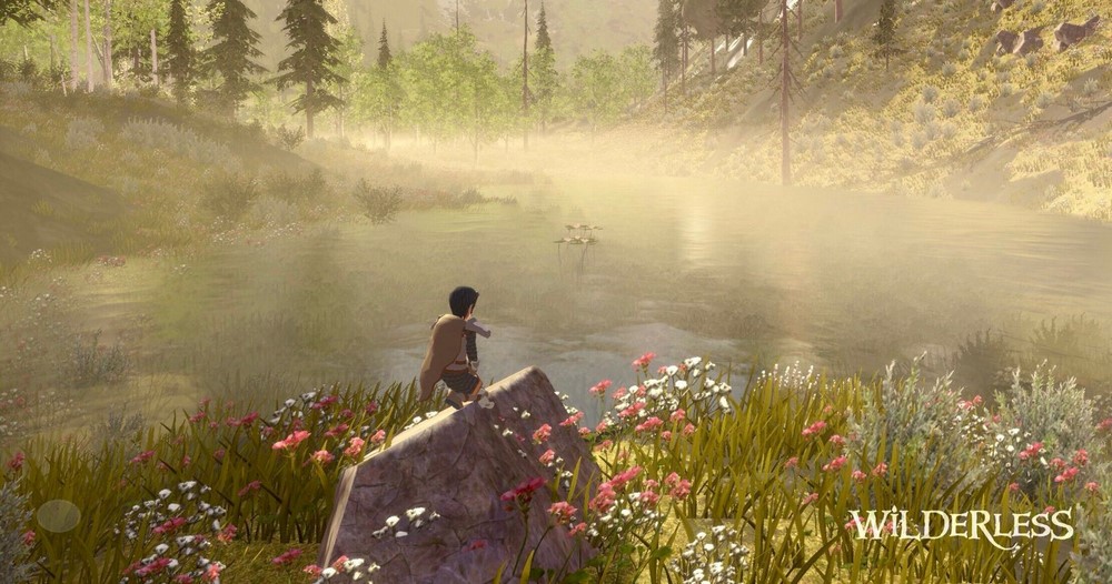 Wildless Wilderless - Tựa game giúp bạn thư giãn và chữa lành tâm hồn Sforum