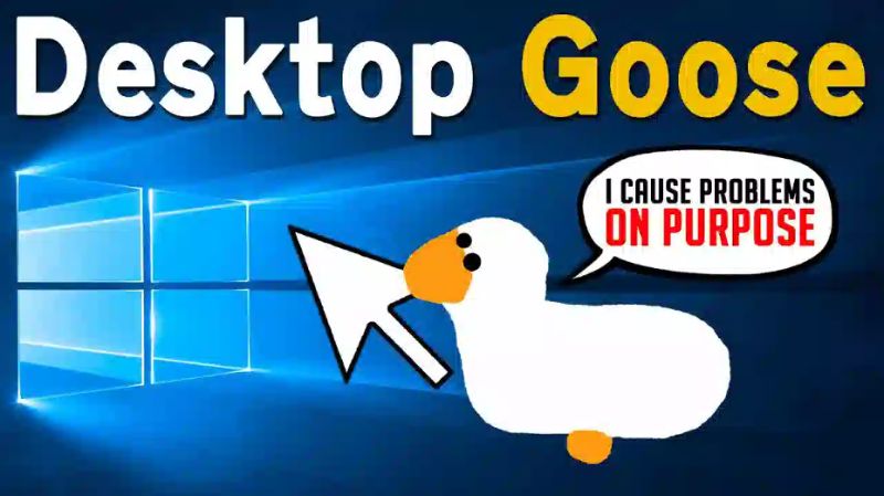 Goose Desktop | Cách cài đặt và sử dụng đơn giản, nhanh chóng