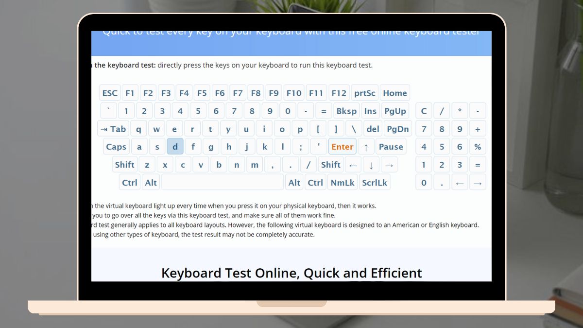 Top 8 website Keyboard tester online cho laptop, máy tính