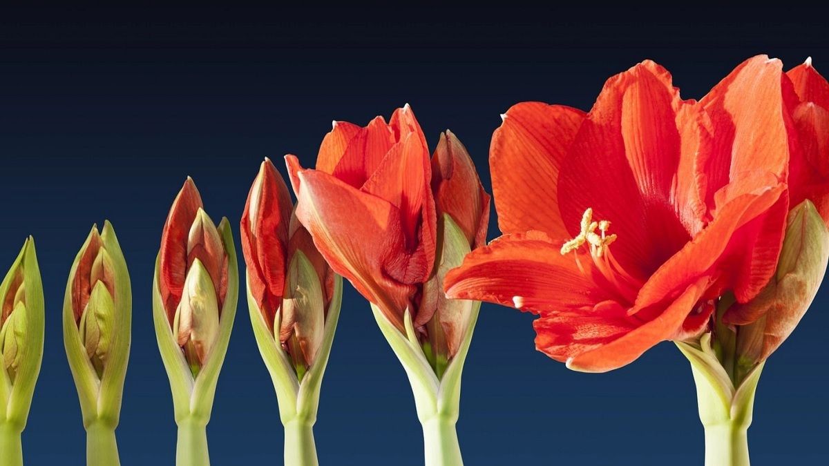 Chế độ quay Time-lapse là gì?