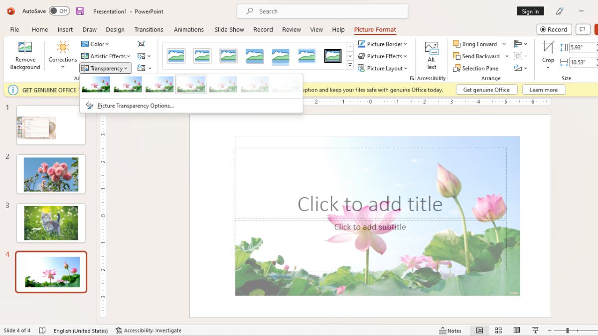 Bước 2: Thay thay đổi cường độ nhòa hình họa vô Powerpoint bằng phương pháp lựa chọn thẻ Transparency