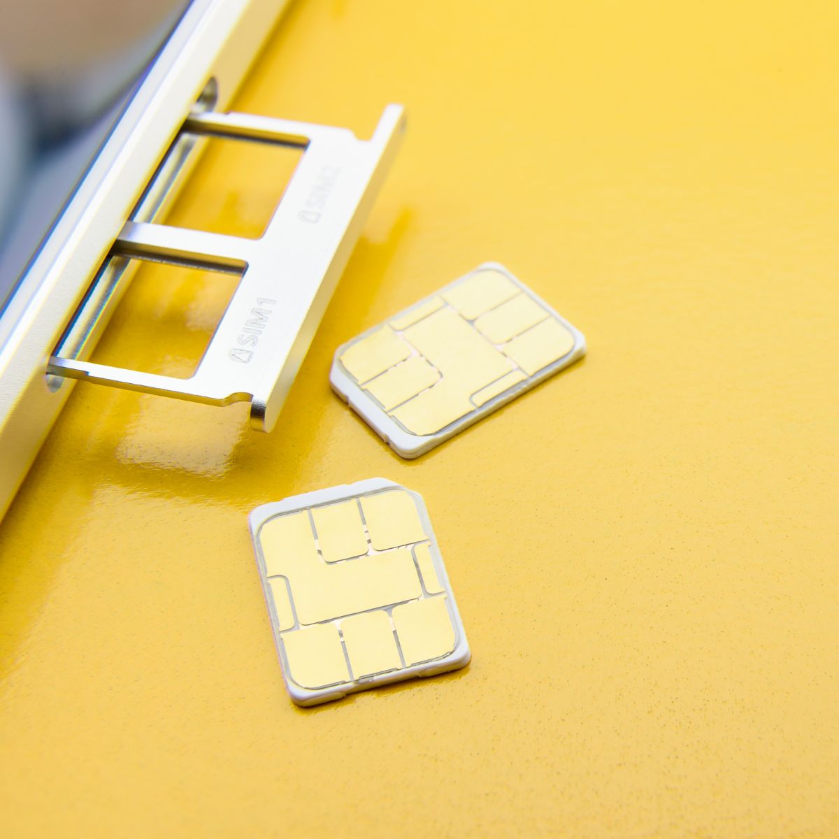 Dựa theo yếu tố âm dương - Ảnh 1