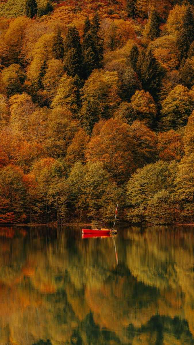 Tải ngay 100+ hình nền chill cực đẹp, chất cho điện thoại, máy tính