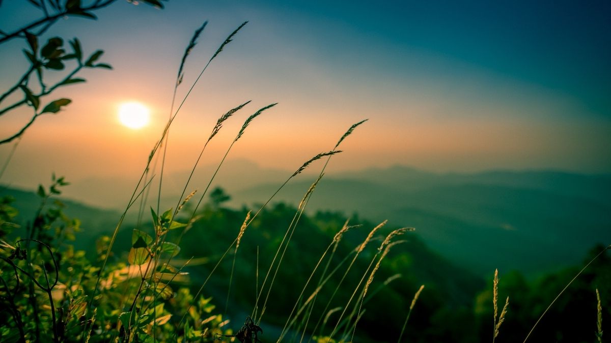 Tải ngay 100+ hình nền chill cực đẹp, chất cho điện thoại, máy tính