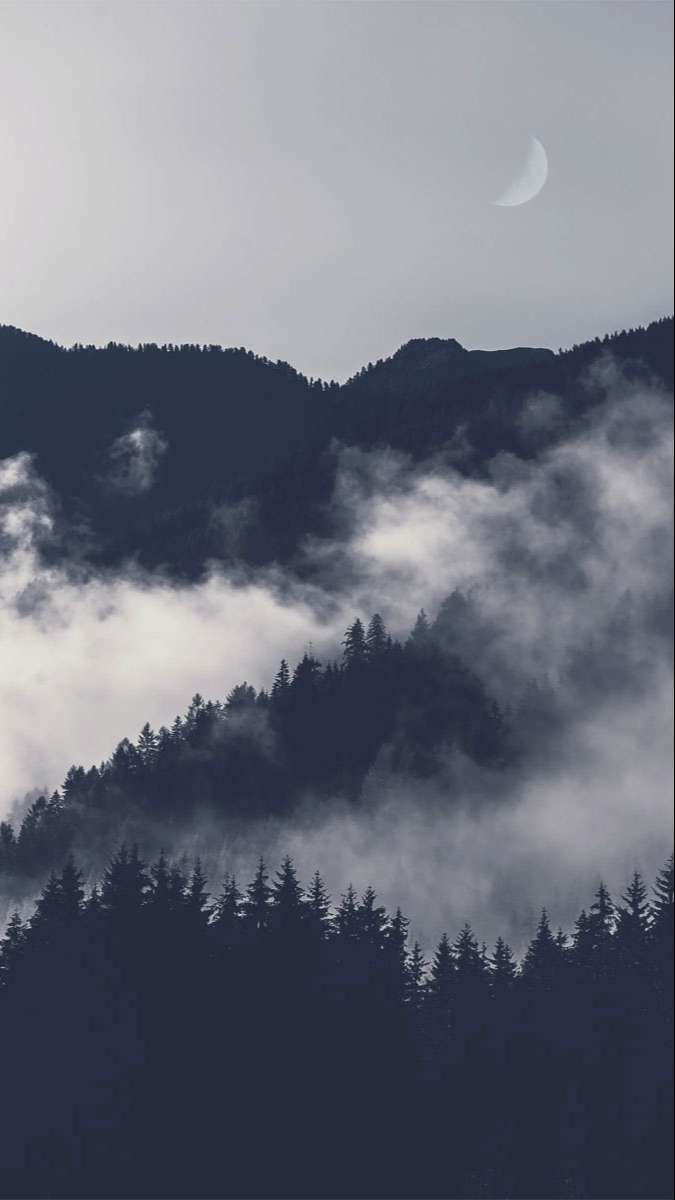 Tuyệt đối không thể bỏ lỡ: 100+ hình nền Samsung 4K cực đẹp độc quyền cho bạn!