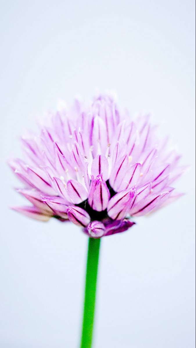 Tuyệt đối không thể bỏ lỡ: 100+ hình nền Samsung 4K cực đẹp độc quyền cho bạn!