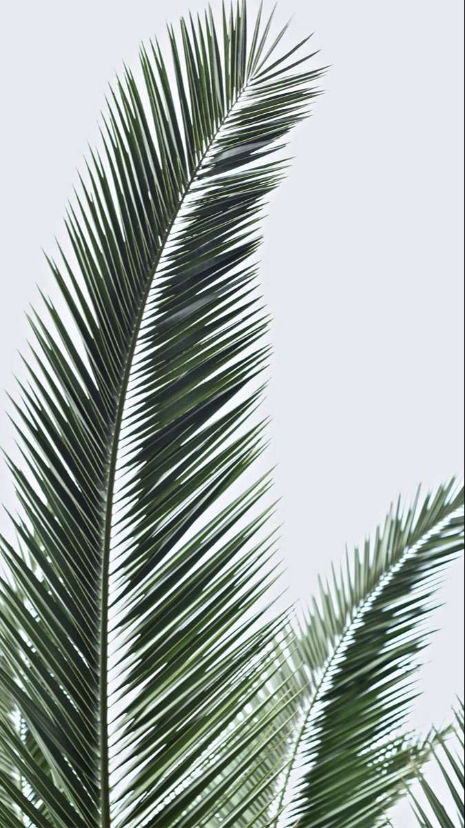 Tuyệt đối không thể bỏ lỡ: 100+ hình nền Samsung 4K cực đẹp độc quyền cho bạn!