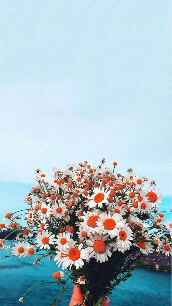 Tuyệt đối không thể bỏ lỡ: 100+ hình nền Samsung 4K cực đẹp độc quyền cho bạn!