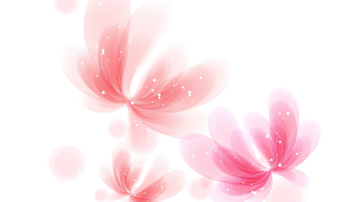 Top 100 hình nền trắng sang chảnh cho điện thoại, máy tính