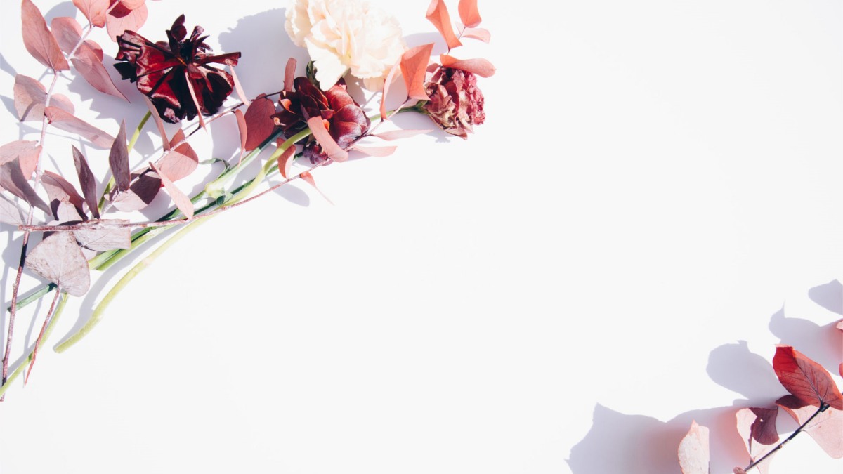 Top 100 hình nền trắng sang chảnh cho điện thoại, máy tính