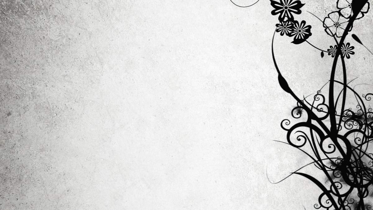 Top 100 hình nền trắng sang chảnh cho điện thoại, máy tính