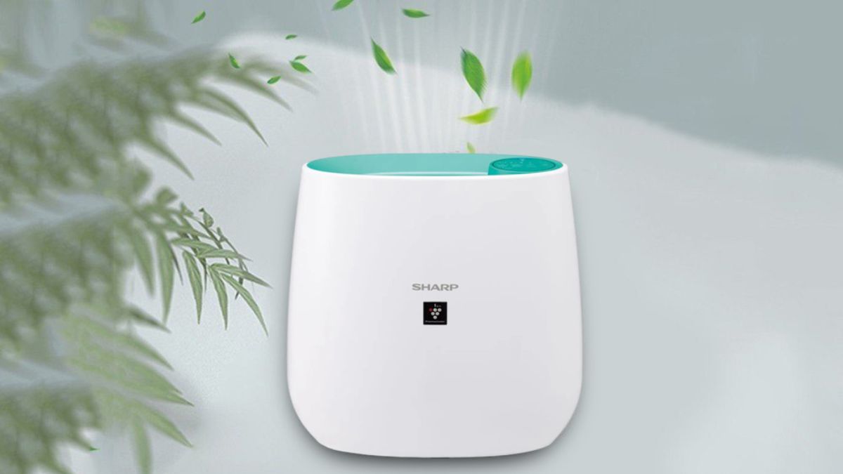 Đánh giá 6 máy lọc không khí Sharp hàng đầu thị trường