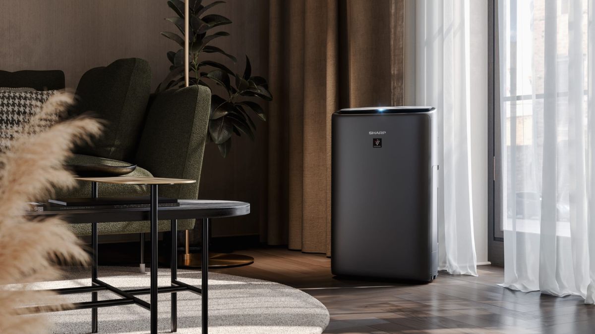Đánh giá 6 máy lọc không khí Sharp hàng đầu thị trường