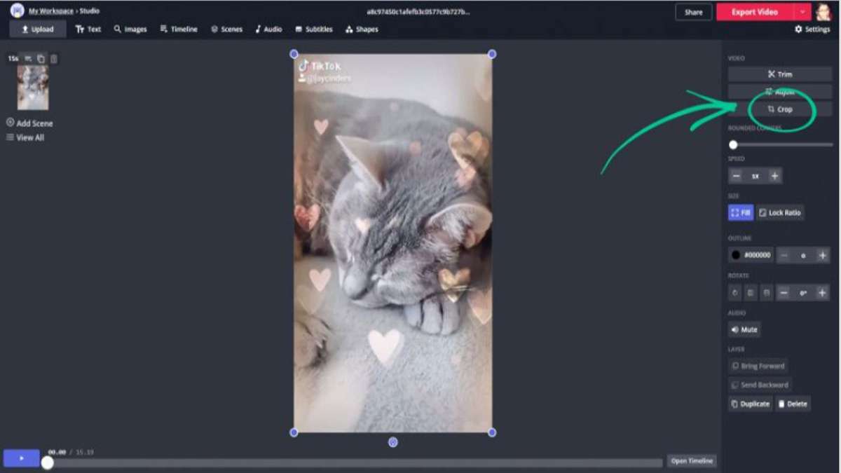 11 Phương pháp hiệu quả xóa logo TikTok trên video tải về điện thoại, PC