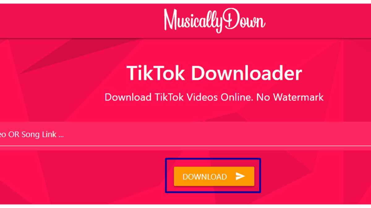 11 Phương pháp hiệu quả xóa logo TikTok trên video tải về điện thoại, PC