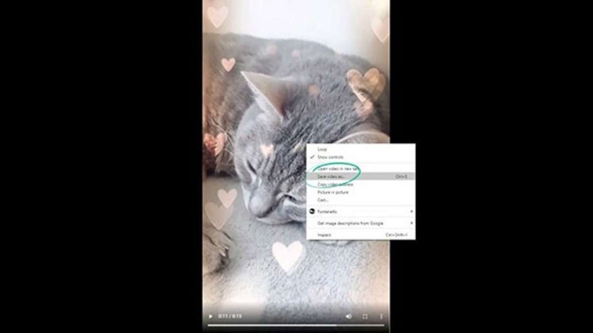 11 Phương pháp hiệu quả xóa logo TikTok trên video tải về điện thoại, PC