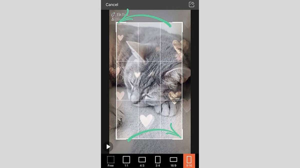 11 Phương pháp hiệu quả xóa logo TikTok trên video tải về điện thoại, PC
