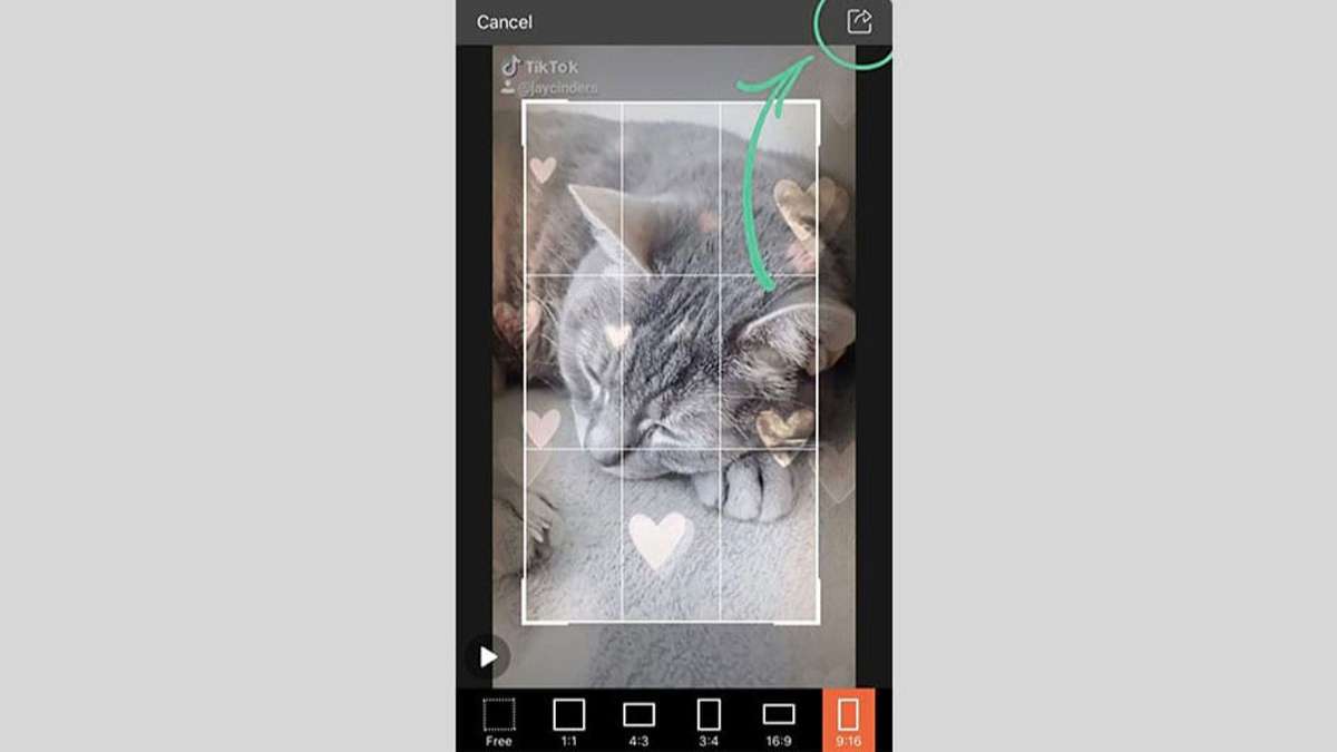 11 Phương pháp hiệu quả xóa logo TikTok trên video tải về điện thoại, PC