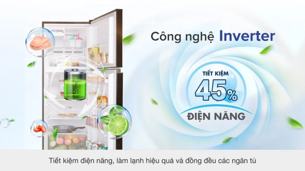 Đối thoại so sánh tủ lạnh Samsung và Toshiba - Bạn nên chọn thương hiệu nào cho lợi ích tốt hơn?