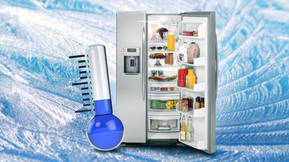 Đối thoại so sánh tủ lạnh Samsung và Toshiba - Bạn nên chọn thương hiệu nào cho lợi ích tốt hơn?