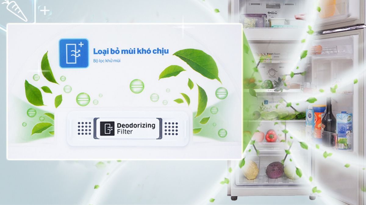 Đối thoại so sánh tủ lạnh Samsung và Toshiba - Bạn nên chọn thương hiệu nào cho lợi ích tốt hơn?