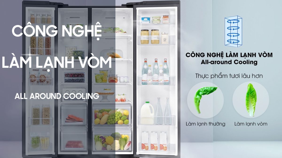 Đối thoại so sánh tủ lạnh Samsung và Toshiba - Bạn nên chọn thương hiệu nào cho lợi ích tốt hơn?