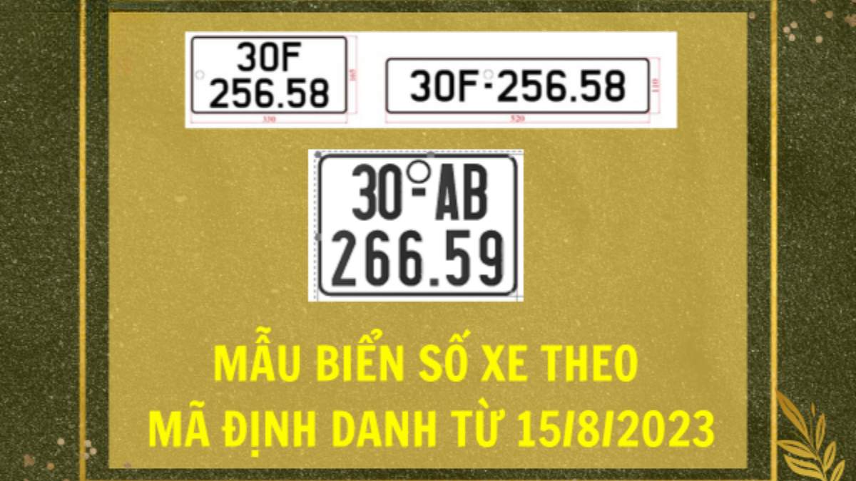 Revealing the Secrets of Biển số xe định danh: Bạn đã biết đủ?