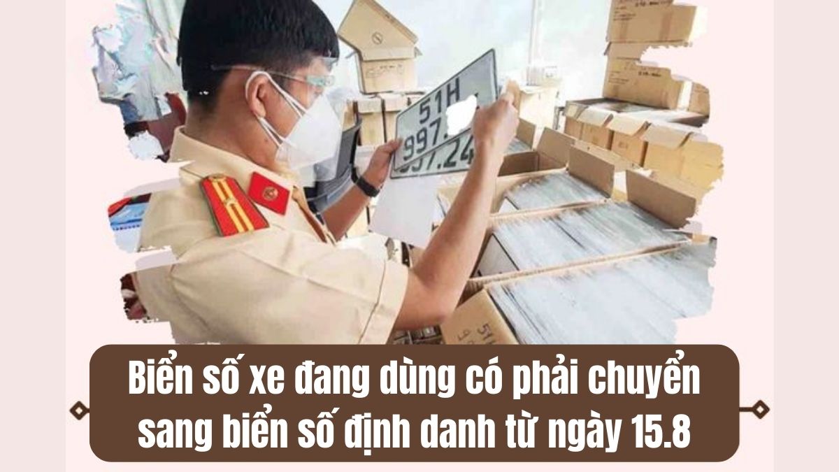 Revealing the Secrets of Biển số xe định danh: Bạn đã biết đủ?