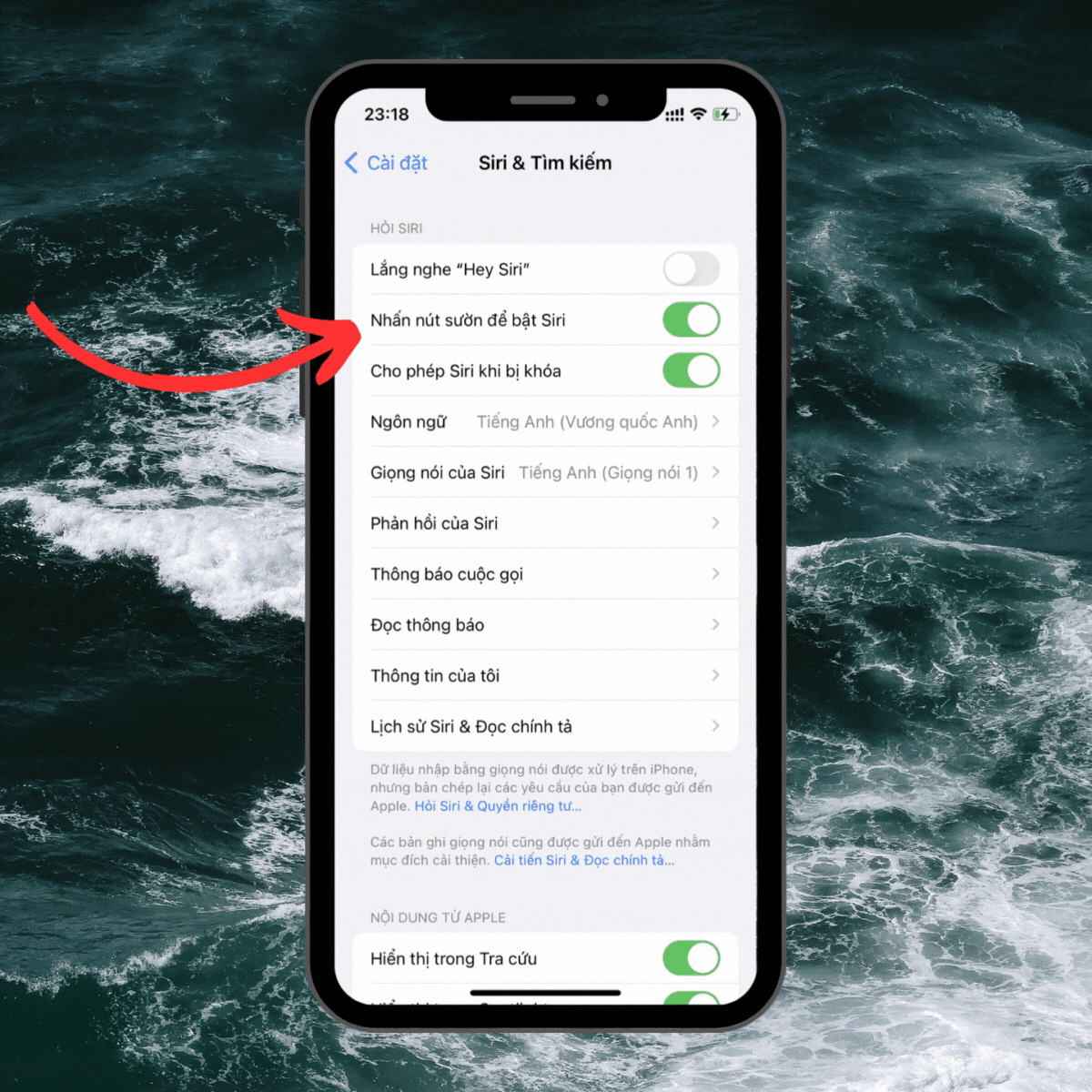Siri nghe lén bạn để gửi thông tin cho Apple? Phương pháp hiệu quả để ngăn chặn hoàn toàn!