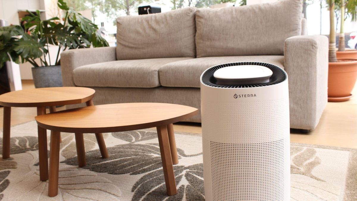 Cách chọn máy lọc không khí hoàn hảo cho gia đình