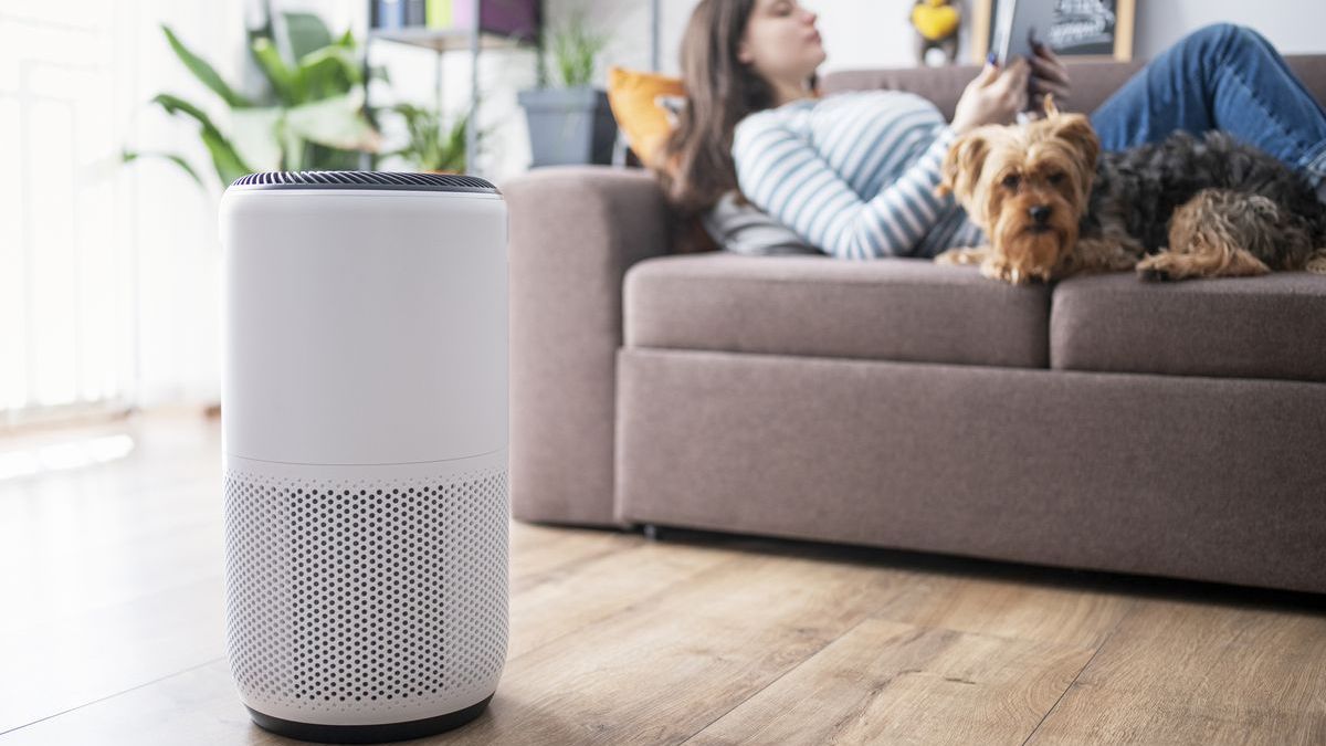 Cách chọn máy lọc không khí hoàn hảo cho gia đình