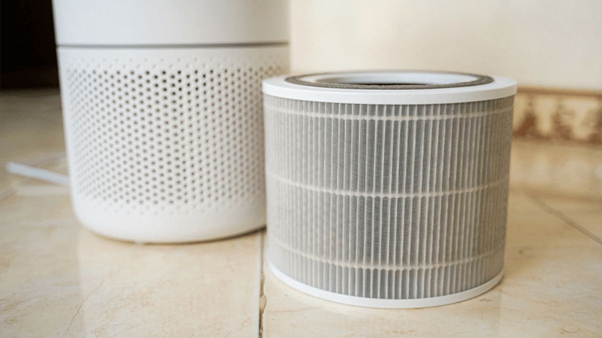 Cách sử dụng máy lọc không khí Levoit một cách hiệu quả nhất