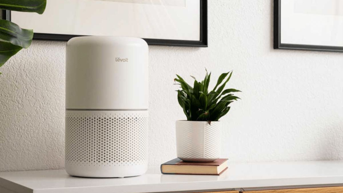 Cách sử dụng máy lọc không khí Levoit một cách hiệu quả nhất