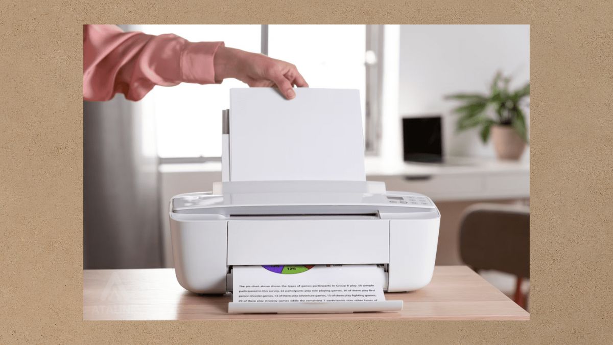 Top 5 máy quét ảnh (máy scan) chất lượng tốt nên mua