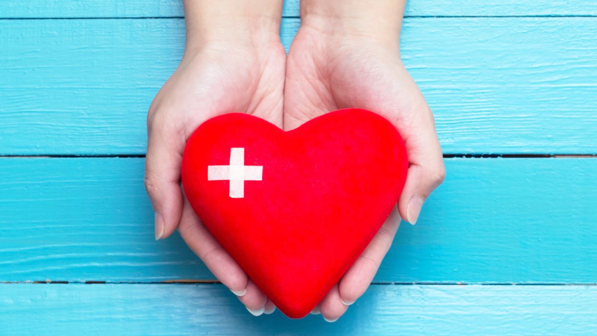 Nồi chiên không dầu hay lò vi sóng: Tìm thiết bị nấu ăn hoàn hảo cho gia đình bạn