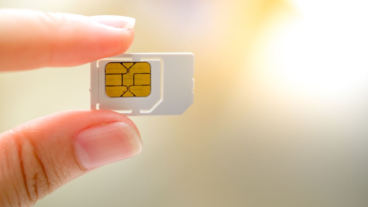 Sim là gì? Khám phá những loại sim thông dụng và tiện lợi