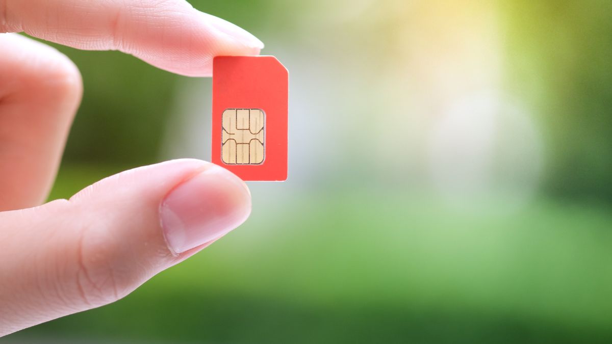 Sim là gì? Khám phá những loại sim thông dụng và tiện lợi