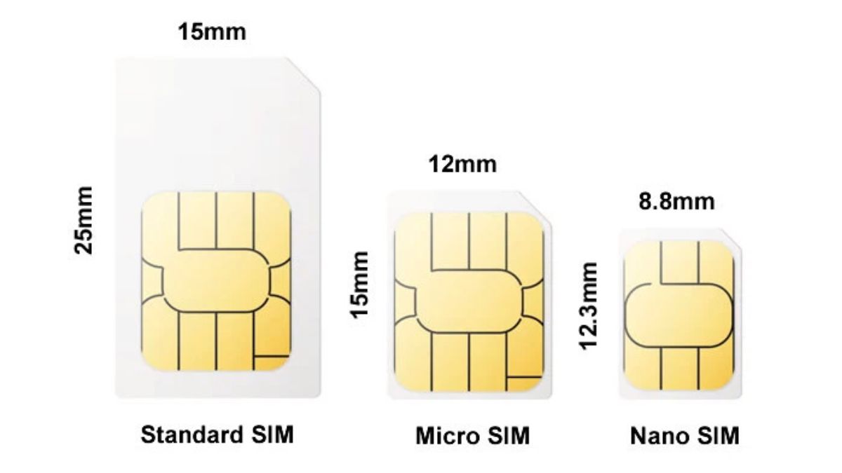 Sim là gì? Khám phá những loại sim thông dụng và tiện lợi