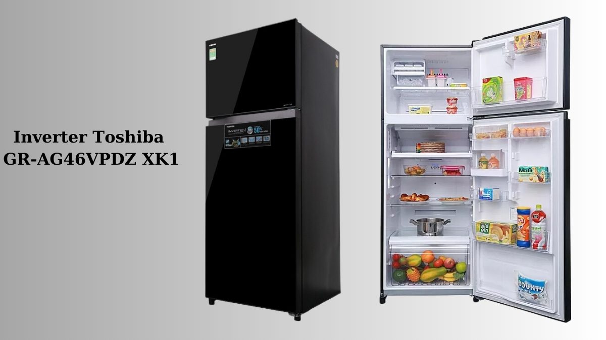 Tìm hiểu về tủ lạnh Toshiba: Bảo đảm chất lượng vượt trội với Top 5 mẫu bền nhất