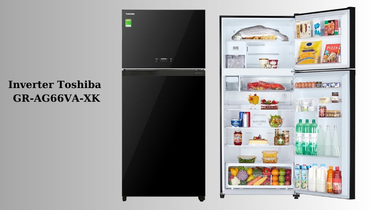 Tìm hiểu về tủ lạnh Toshiba: Bảo đảm chất lượng vượt trội với Top 5 mẫu bền nhất