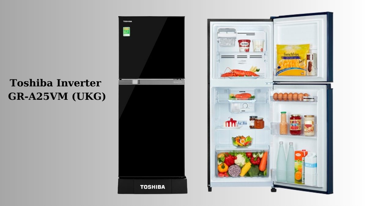 Tìm hiểu về tủ lạnh Toshiba: Bảo đảm chất lượng vượt trội với Top 5 mẫu bền nhất