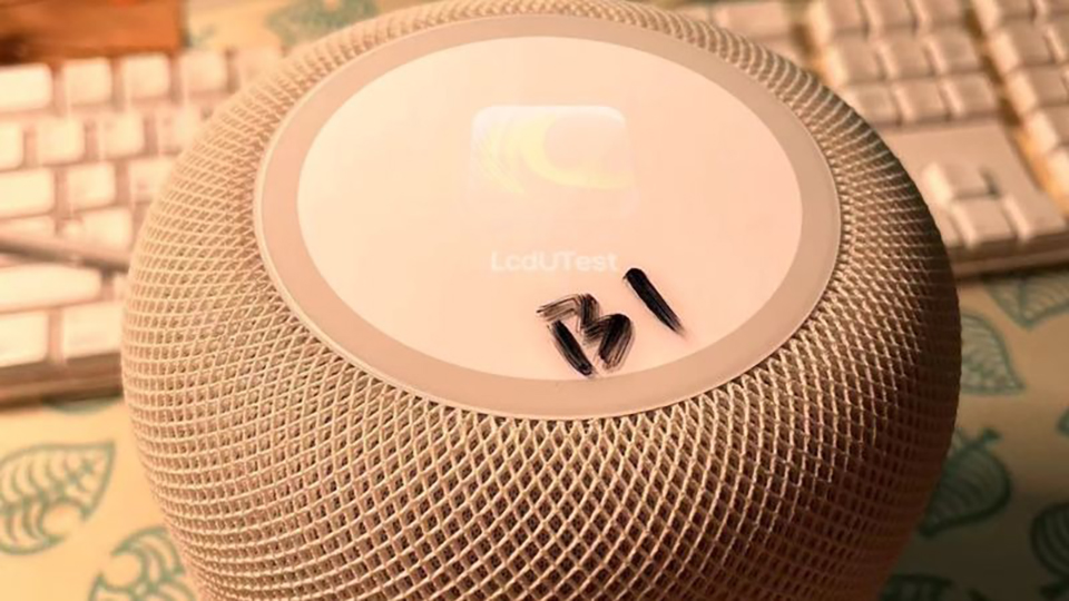 Hình ảnh bài viết