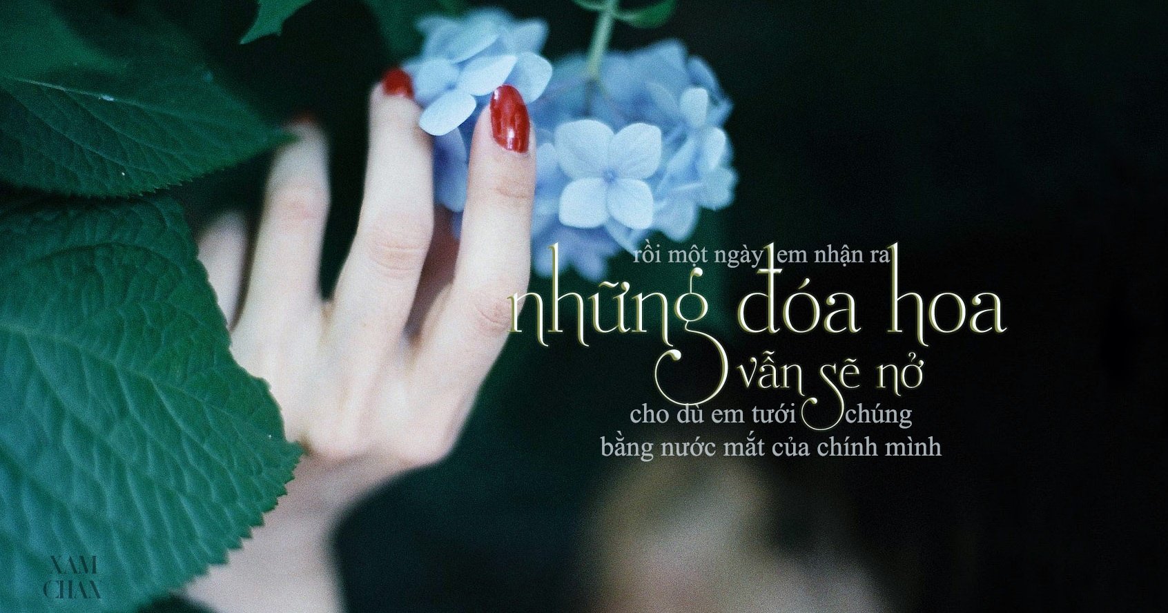 Đặc điểm của Font Việt hóa là gì?