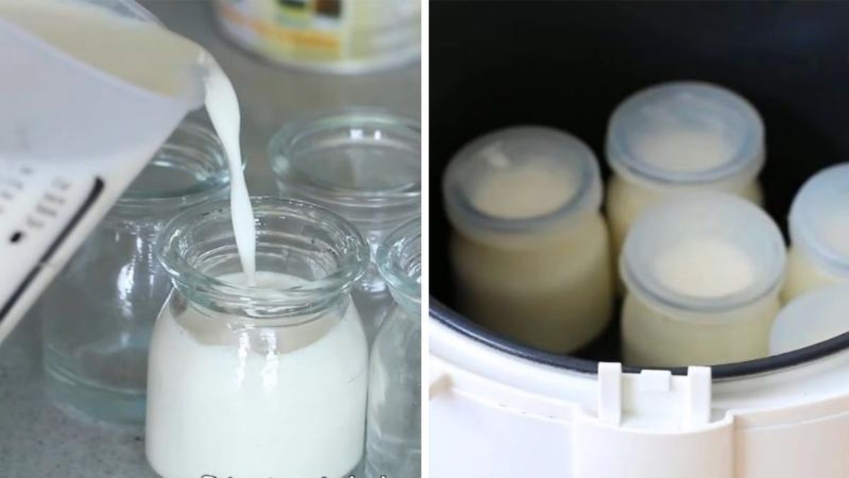 Cách làm yaourt sữa chua dẻo bước 3