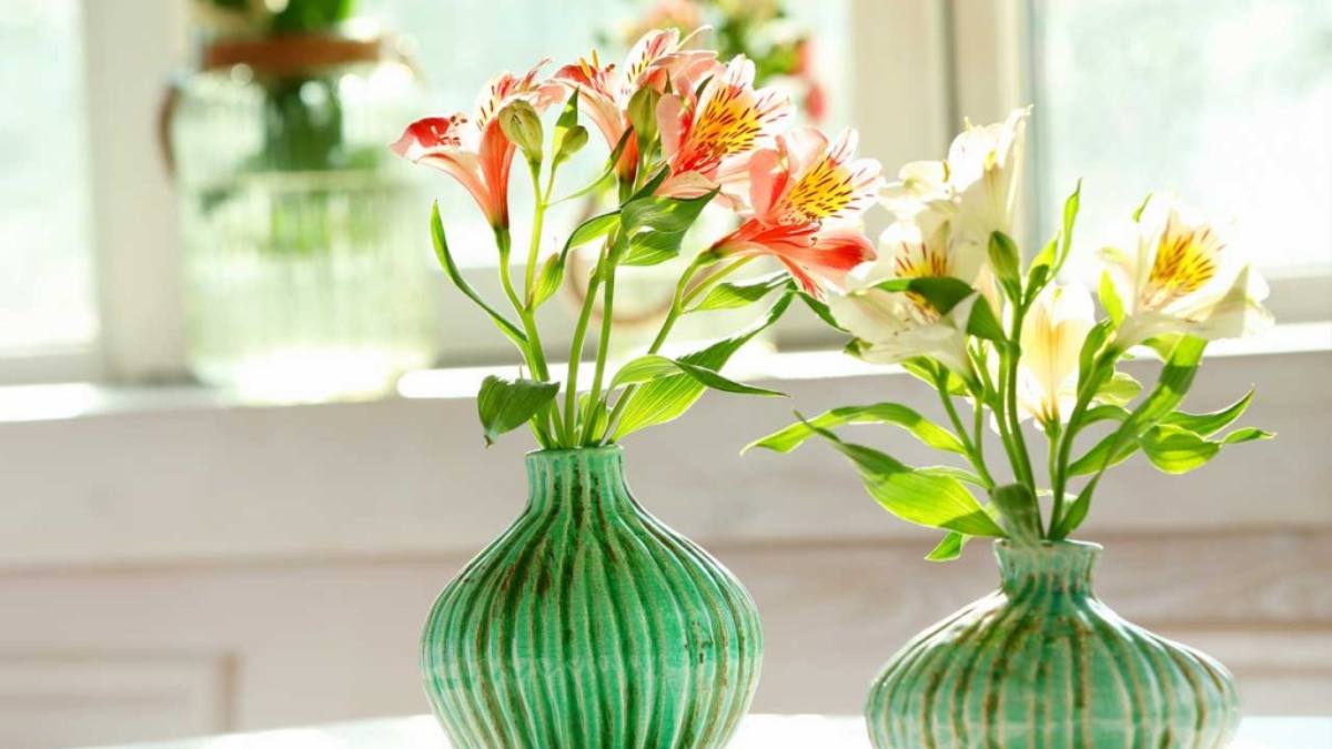 Hoa thủy tiên- Hoa chưng tết lâu tàn